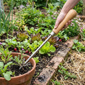 Tough Weeder Tool for Crowded Borders and Pots