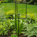 Tall Circular Plant Support - Matt Black