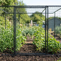 8cm Heavy Duty Pea and Bean Netting