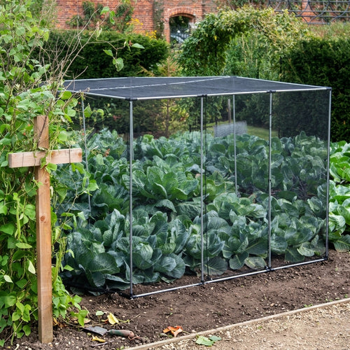 1.2m H Vegetable Cage with Butterfly Netting