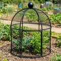 Lobster Pot Plant Support - Matt Black