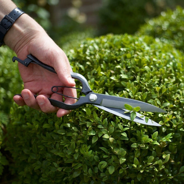 Topiary Clippers for Precise Trimming and Control