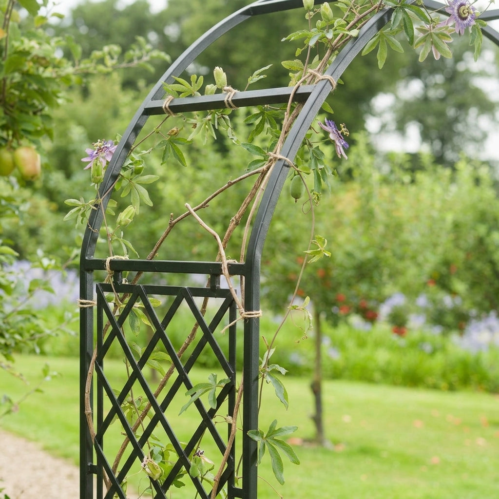 Garden Arch with Half Lattice Design, photo 2