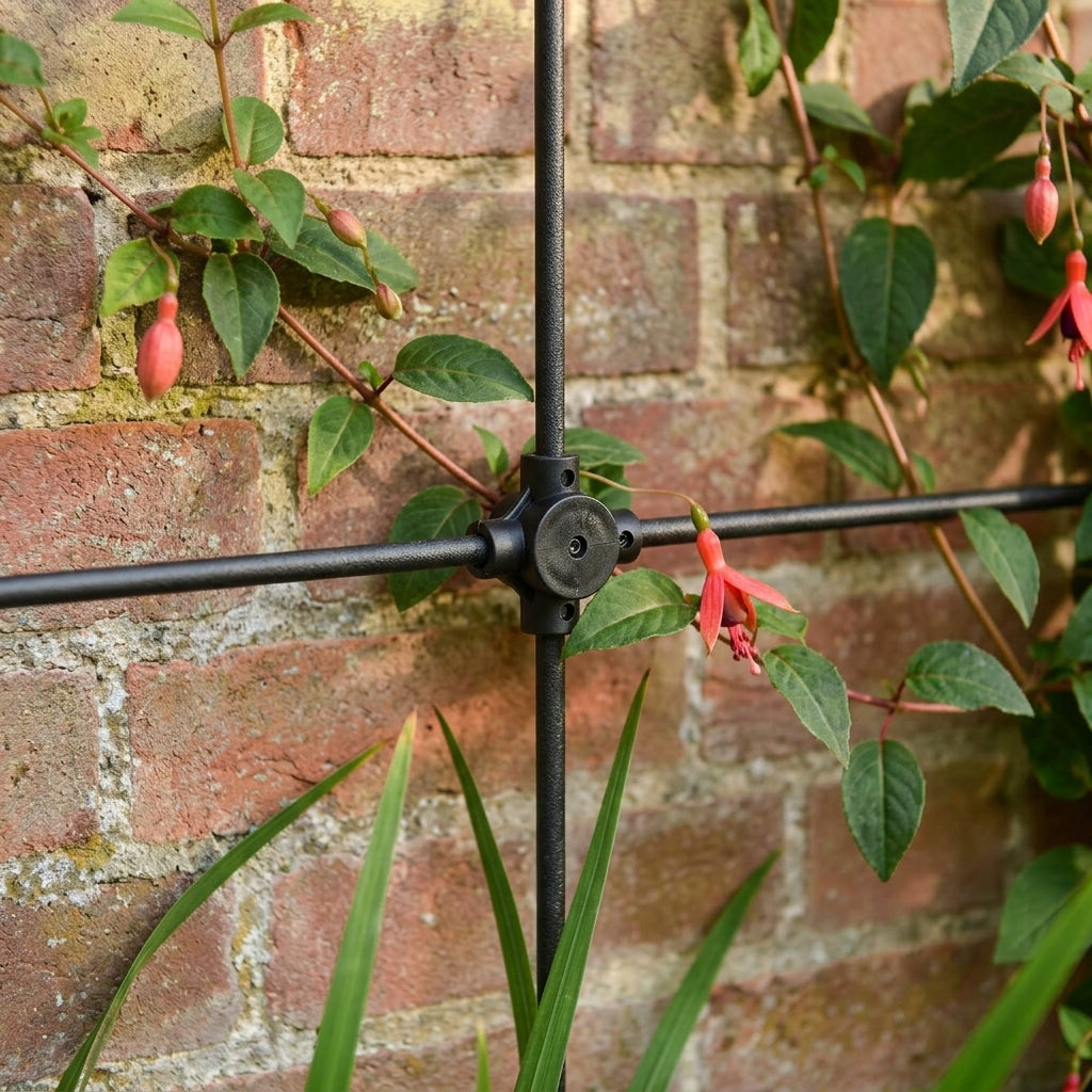 Trellis System Kit - Various Sizes - Ideal for Climbing Plants