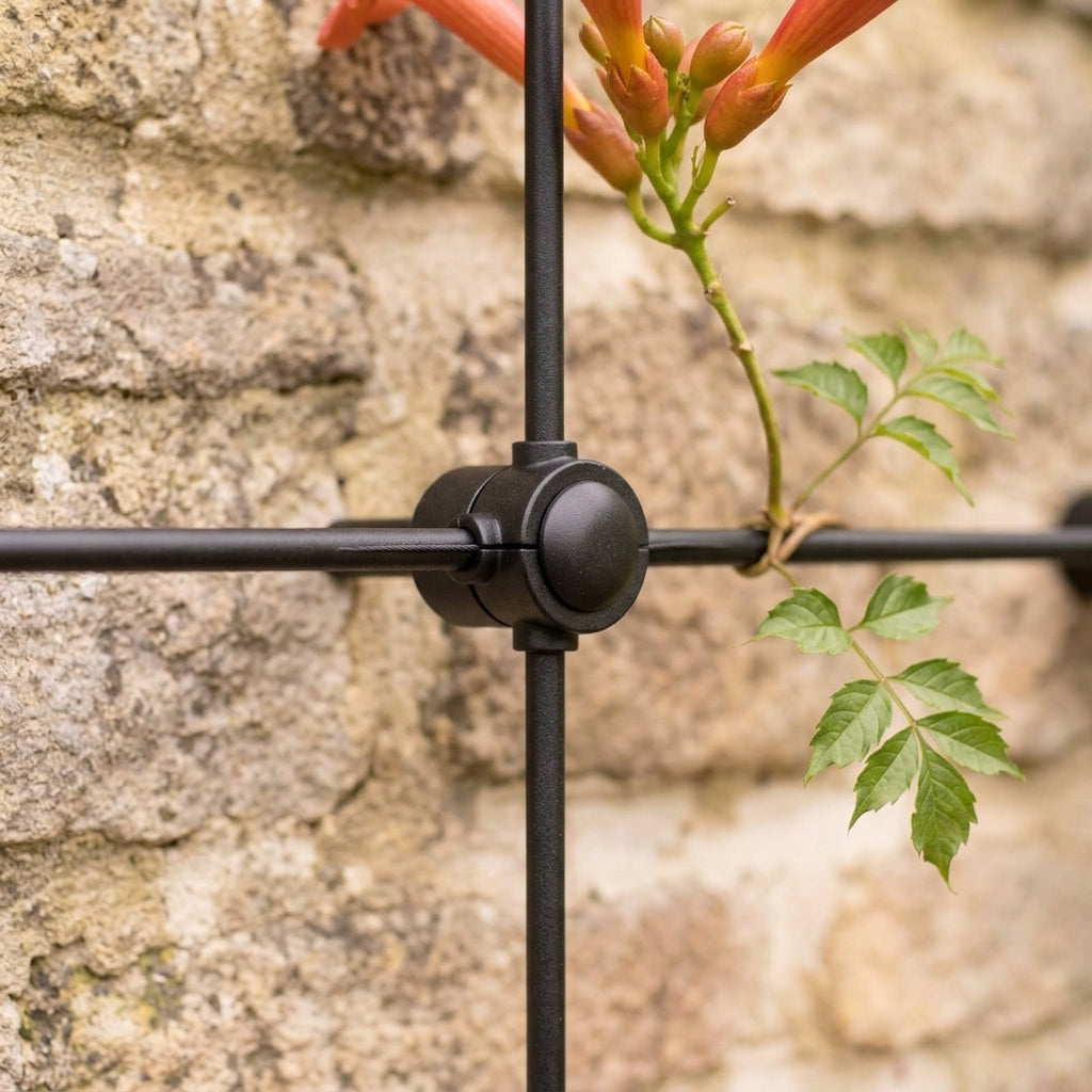 Customisable Wall Trellis System with Steel Bars, photo 2