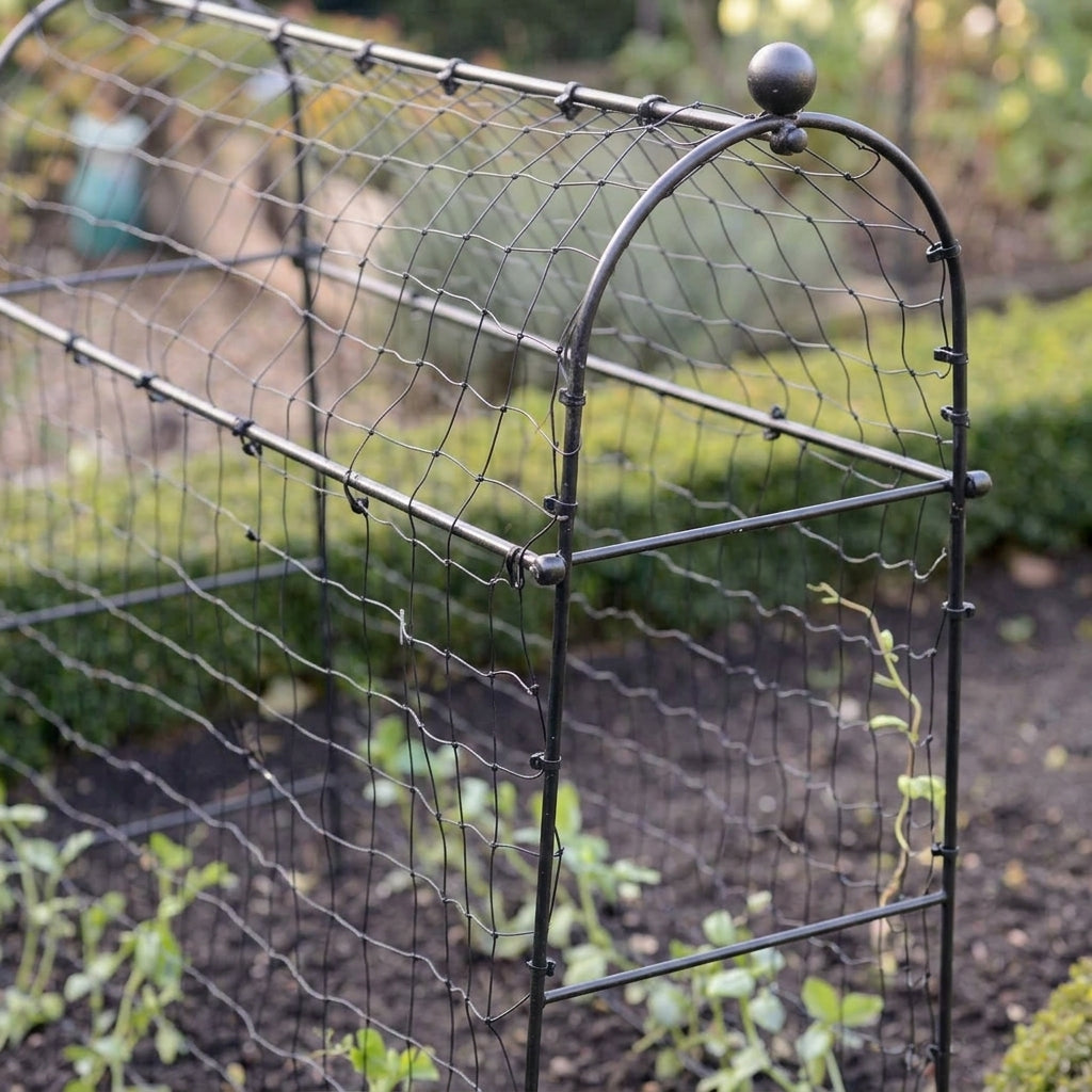 10mm Pea & Bean Frame Solid Steel Support, photo 2