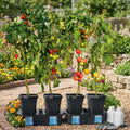 Self Watering Planter 4 Pots 14 Days Capacity