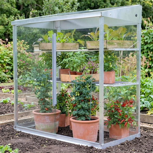 1.21m Midi Growhouse Natural Finish