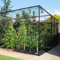 2m High Steel Vegetable Cage with Butterfly Netting