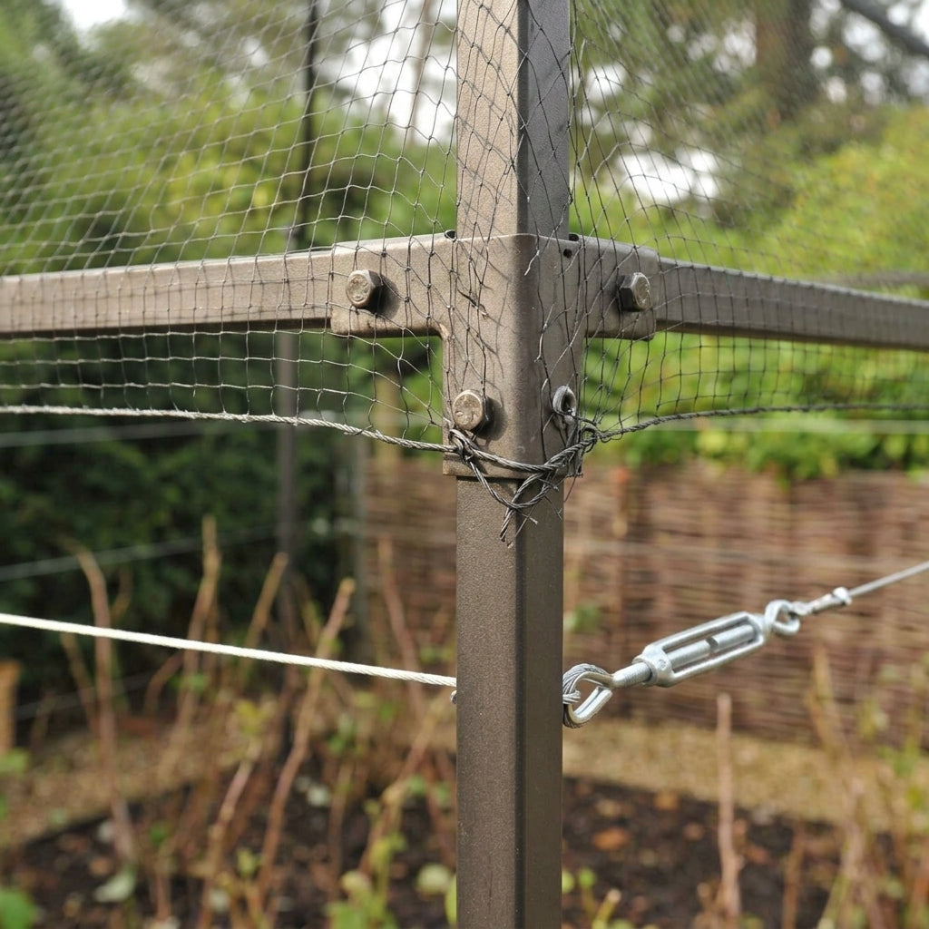 Raspberry Support with Steel Posts and Wires (view 2)