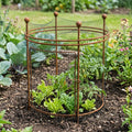Short Circular Plant Support 8mm Steel