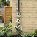 8mm Drainpipe Trellis Steel Construction 25 Year Guarantee