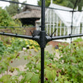 10mm Steel Support Frame for Autumn Raspberry Canes