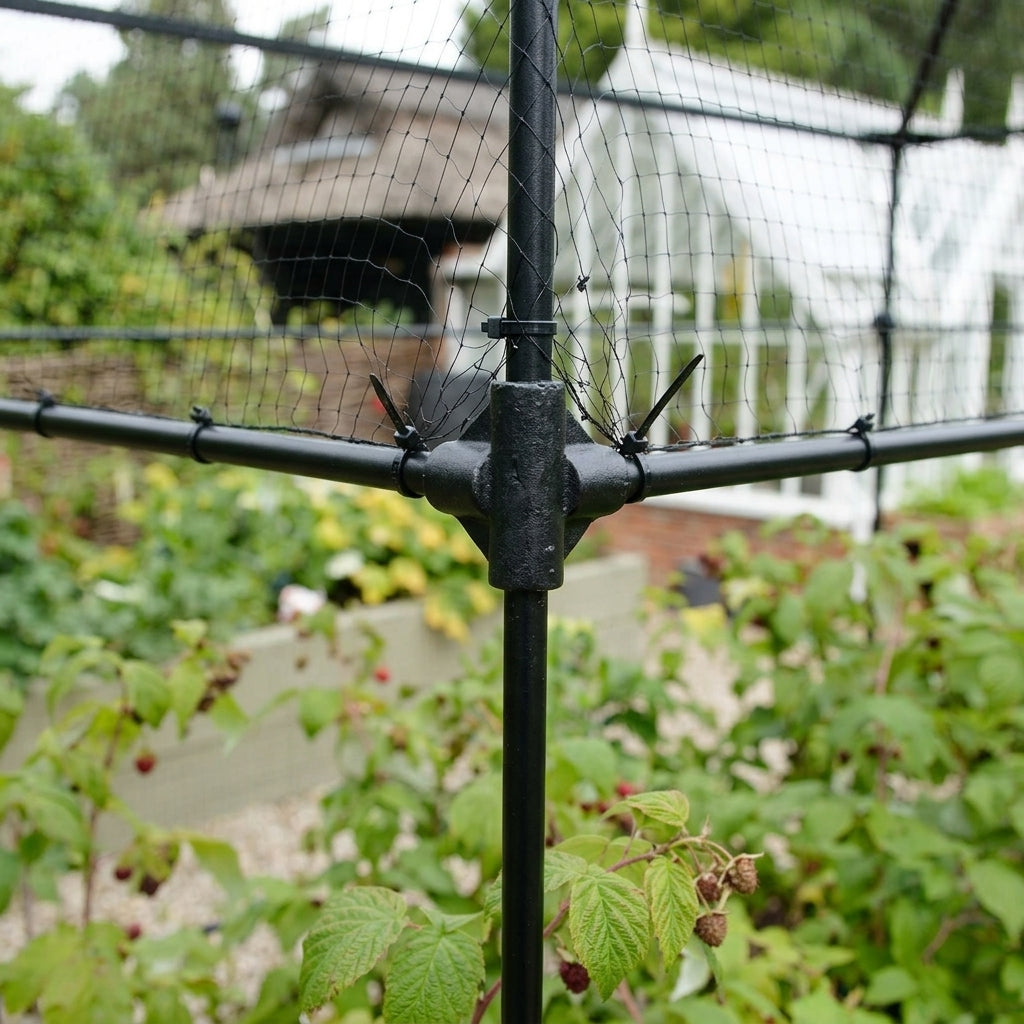 10mm Steel Support Frame for Autumn Raspberry Canes, photo 1