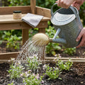 Oval Fine Spray Brass Rose for Watering Cans