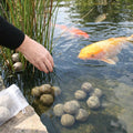 Mud Balls for Pond Cleaning