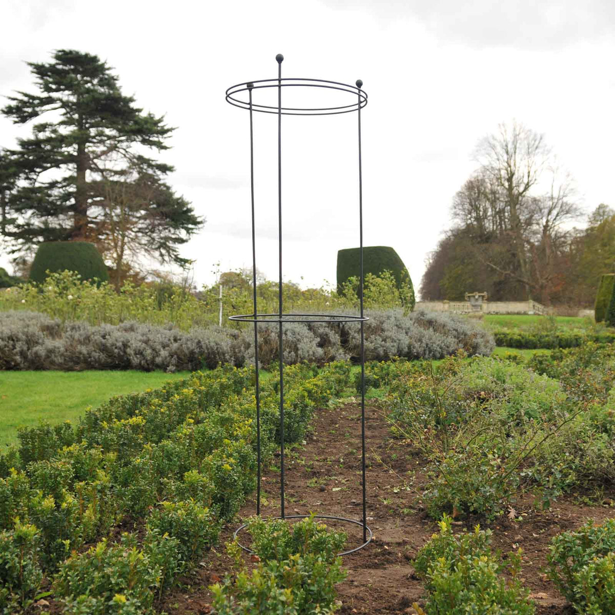 Tall Circular Plant Support - Matt Black