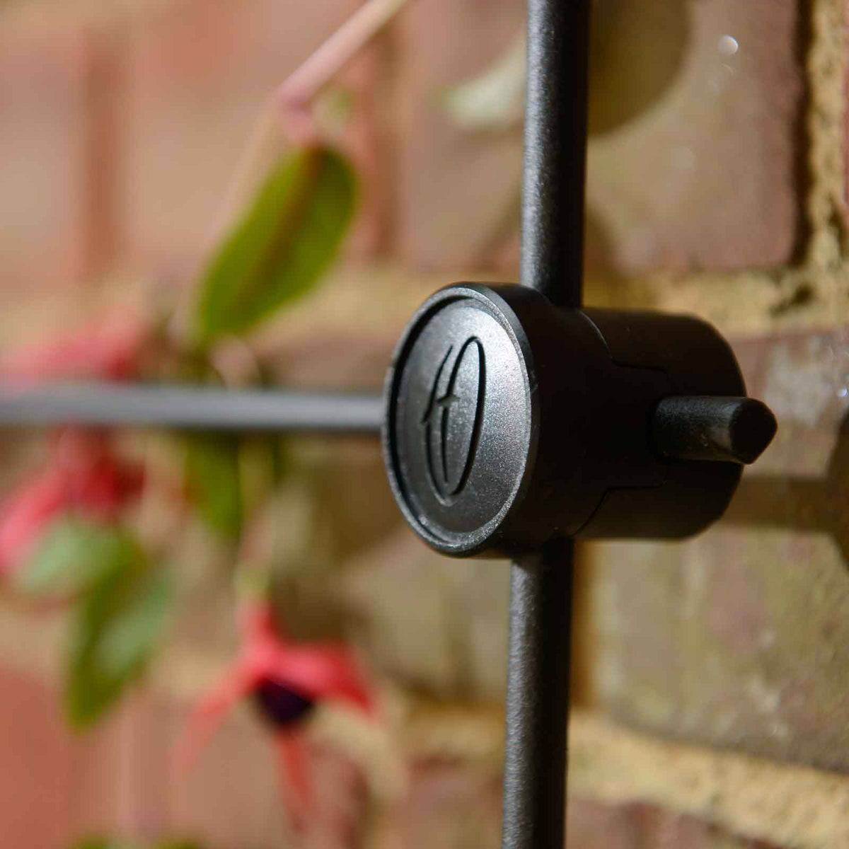 Trellis System Kit - Various Sizes - Ideal for Climbing Plants