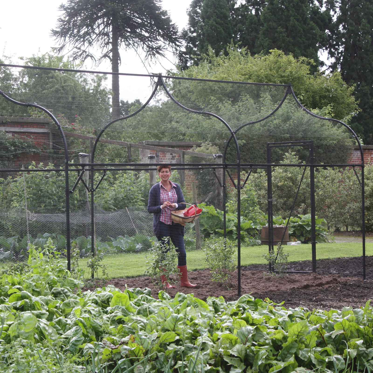Ogee Arch Fruit Cage