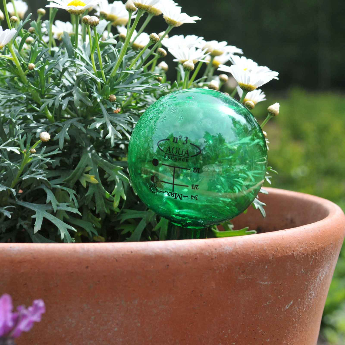 Holiday Watering Kit Set of 6 Automatic Drip System