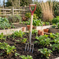 4-tine Border Fork Stainless Steel D-handle