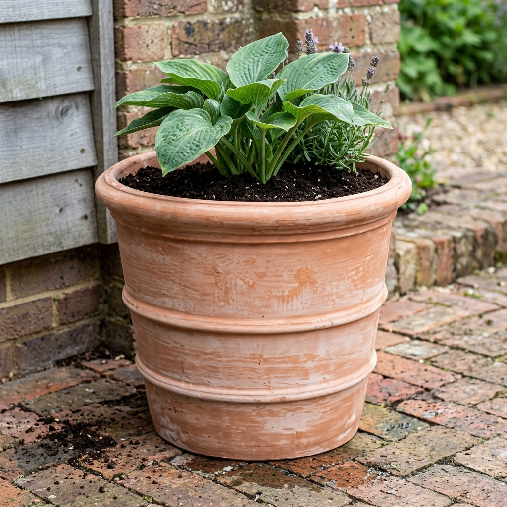 Terracini Pots Classic Design Durable Planters