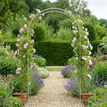 Roman Arch - Lichen Green - Garden Feature