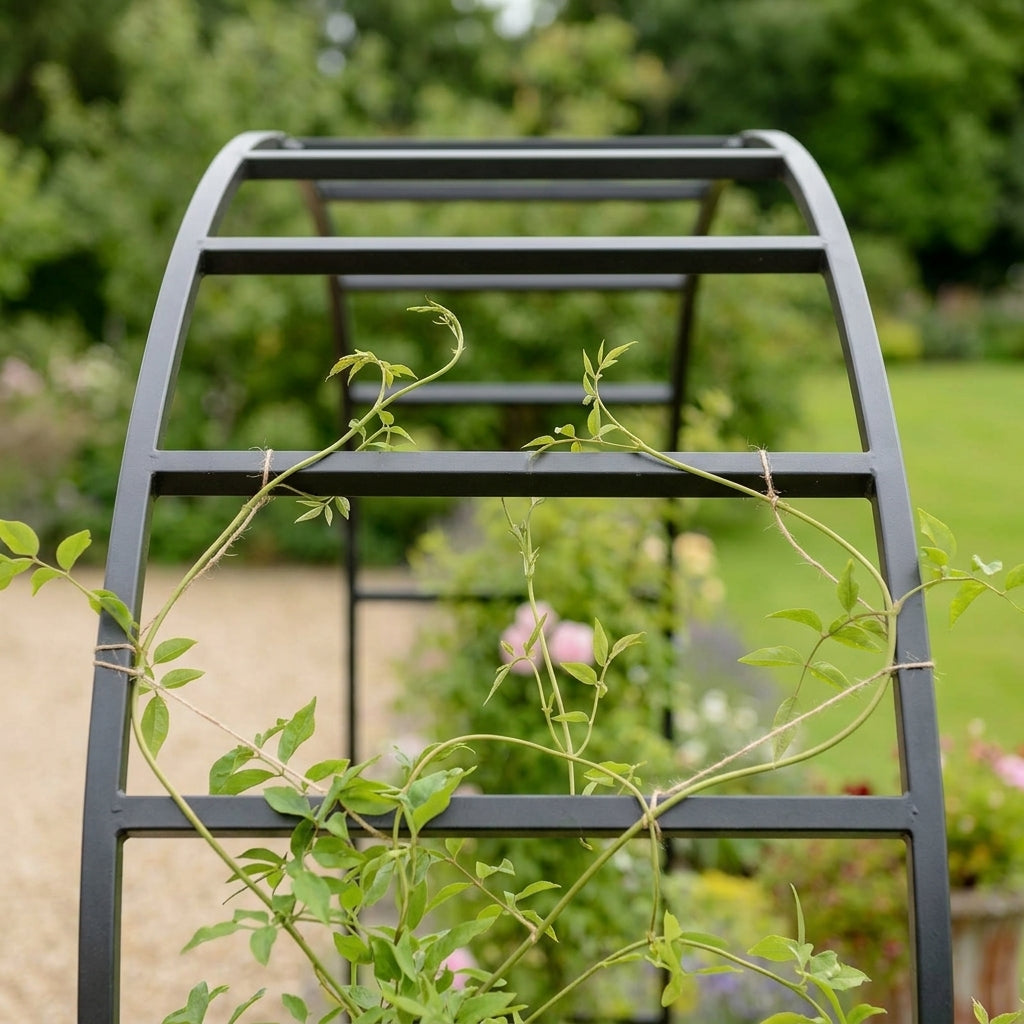 Garden Arch - Flatter Profile for Wider Spans, photo 2