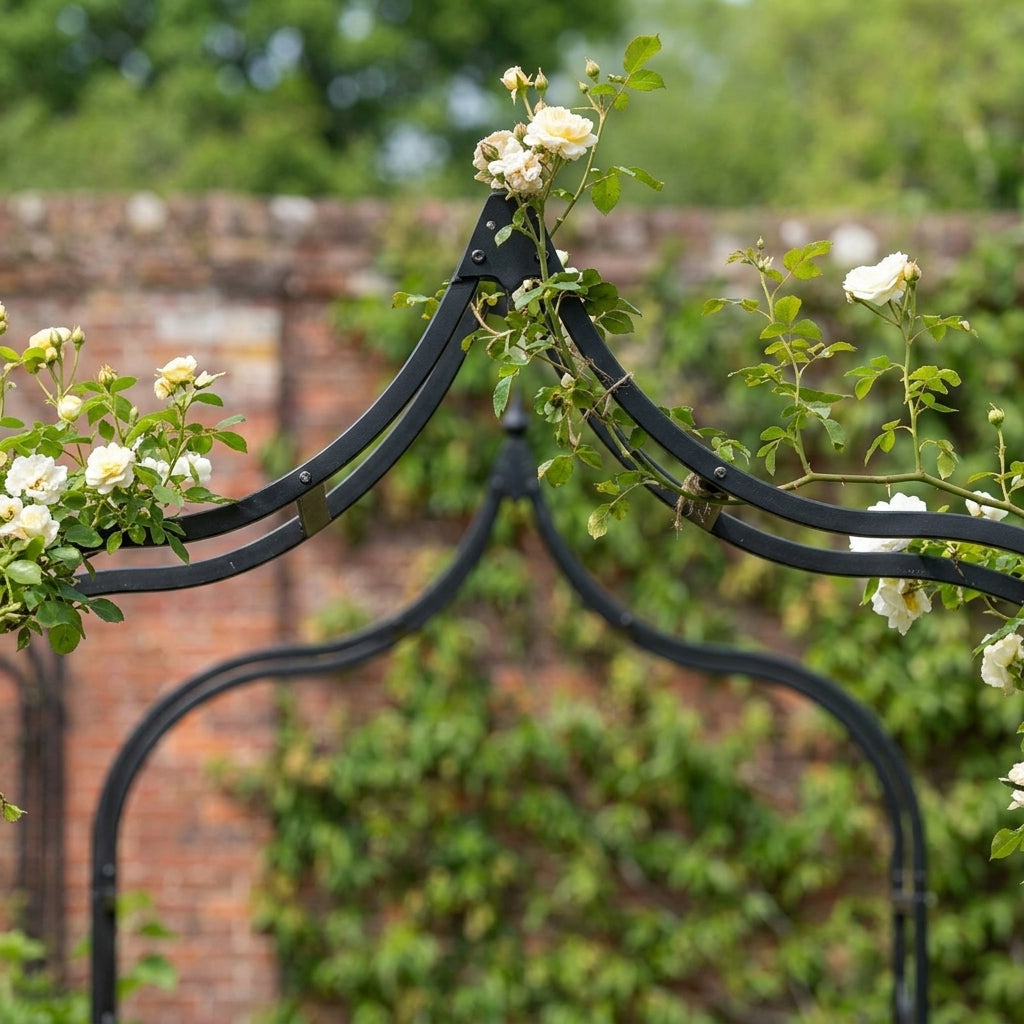 Ogee Garden Arch [various sizes], photo 1