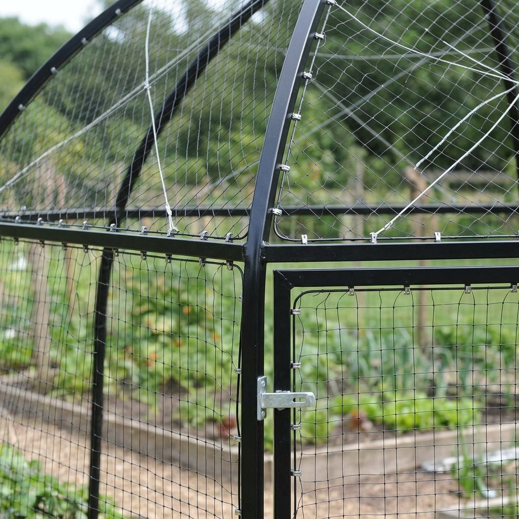 Fruit Tree Gazebo - Galvanised Steel Structure, photo 2