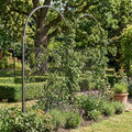 Garden Screen Framework for Climbing Plants