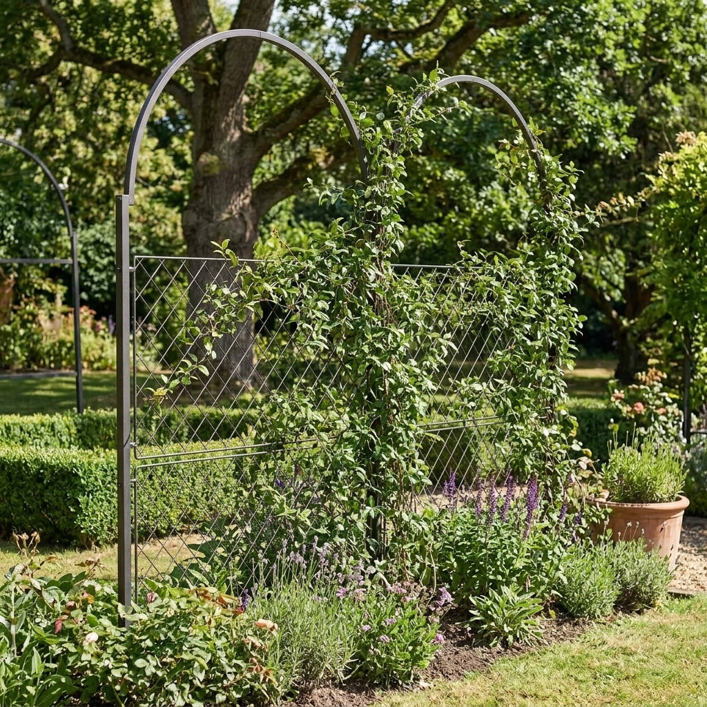 Garden Screen Framework for Climbing Plants