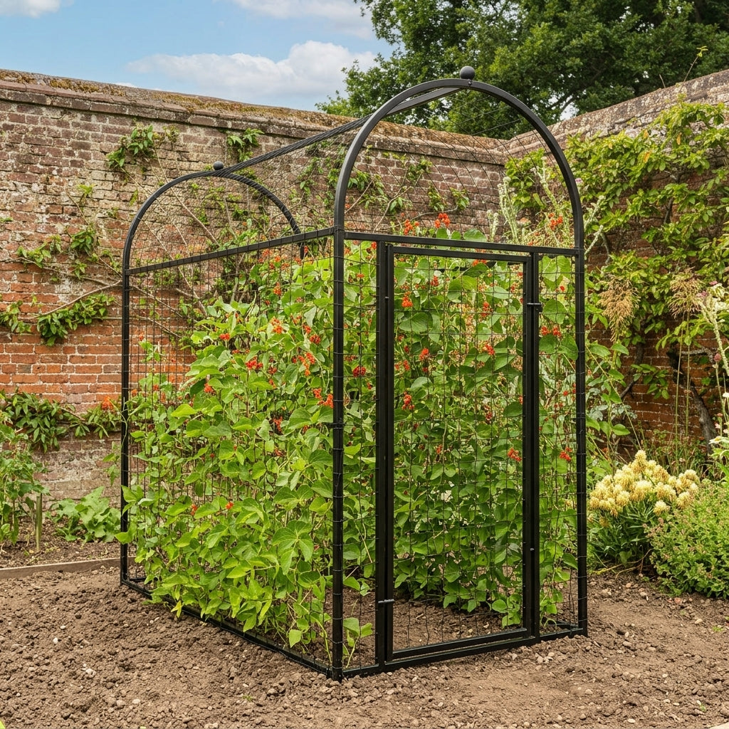Bean Frame Galvanised Steel with Premium Mesh