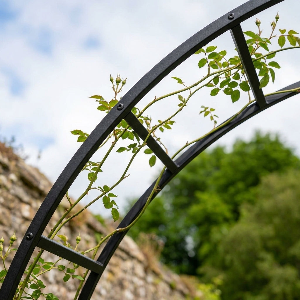 Moon Gate Arch, photo 2