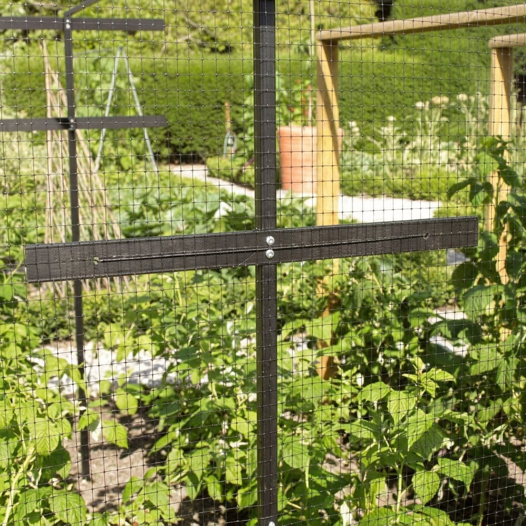T-Shaped Support Frame for Raspberries and Beans, photo 2