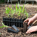 Reusable Rootrainers for Easy Plant Transplanting
