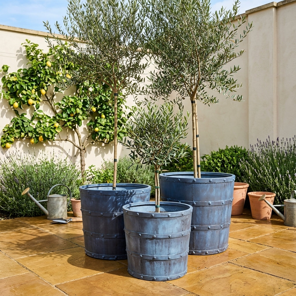 Round Planters Inspired by Mediterranean Design